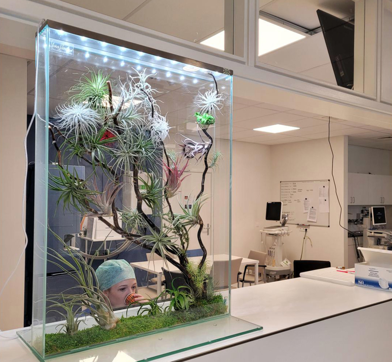 Florapanels Zorginstelling